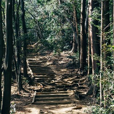 华夏中证人工智能主题ETF(515070)已连续6日遭遇资金净赎回,区间净流出额3.59亿元